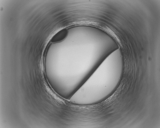 X0000059801084200510210851