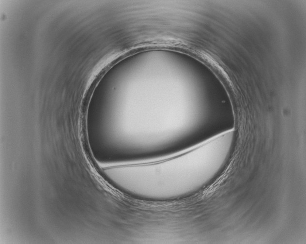 X0000059801085200510210851