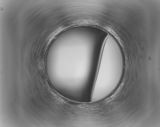 X0000059801089200510210851