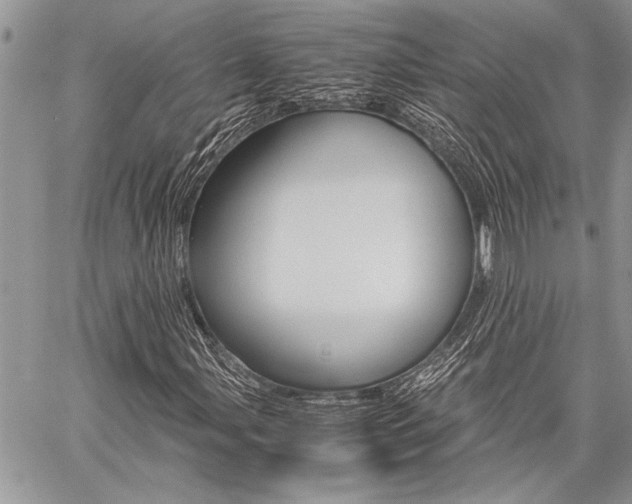 X0000059801107200510210850