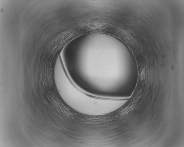 X0000059801156200510210849