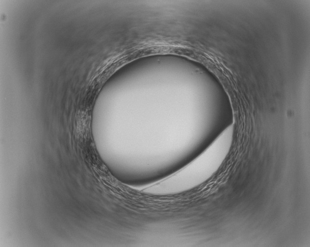 X0000059801157200510210849
