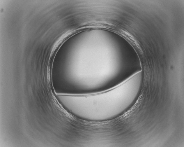 X0000059801188200510210849