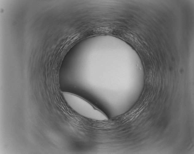 X0000059801201200510210848