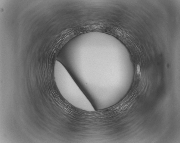 X0000059801203200510210848