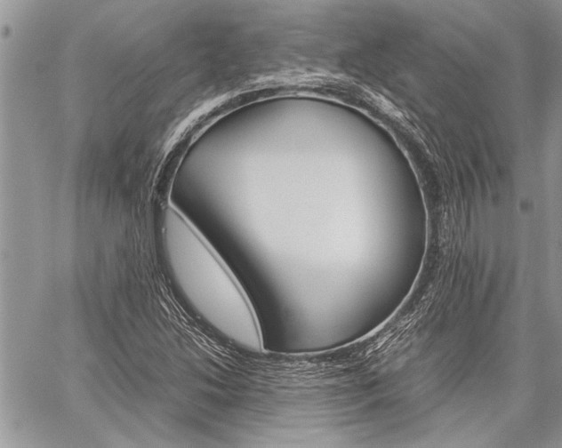 X0000059801214200510210848