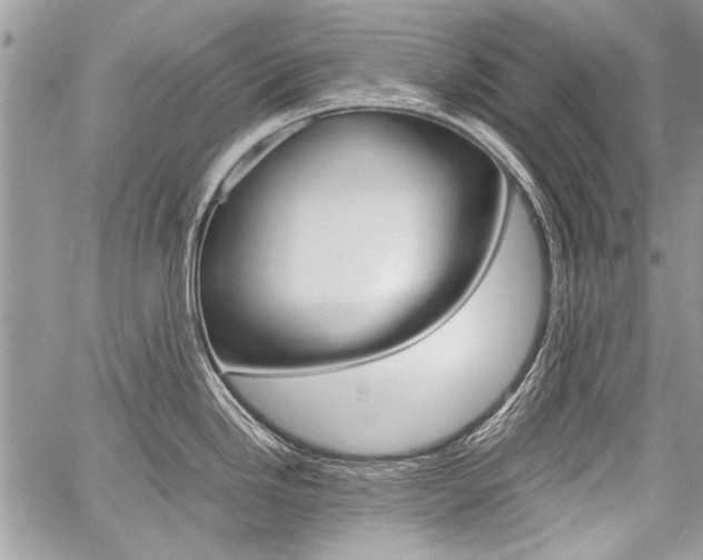 X0000059801246200510210849
