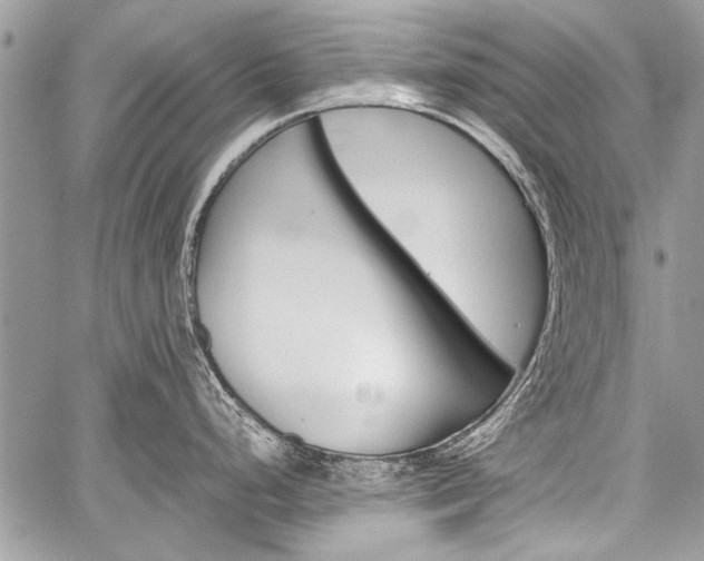 X0000059801248200510210849