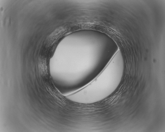 X0000059801252200510210848