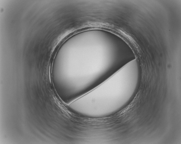 X0000059801272200510210848