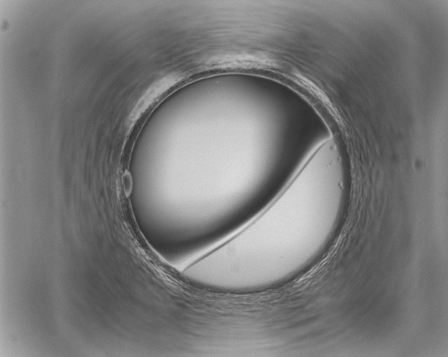 X0000059801277200510210848