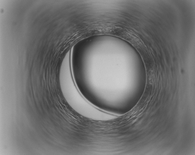 X0000059801298200510210846