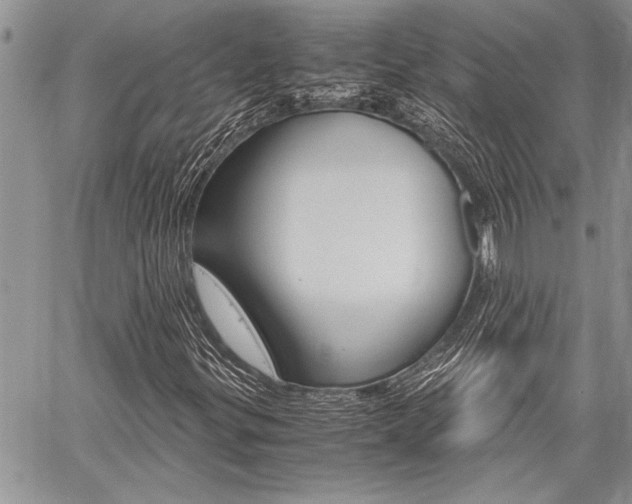 X0000059801299200510210846