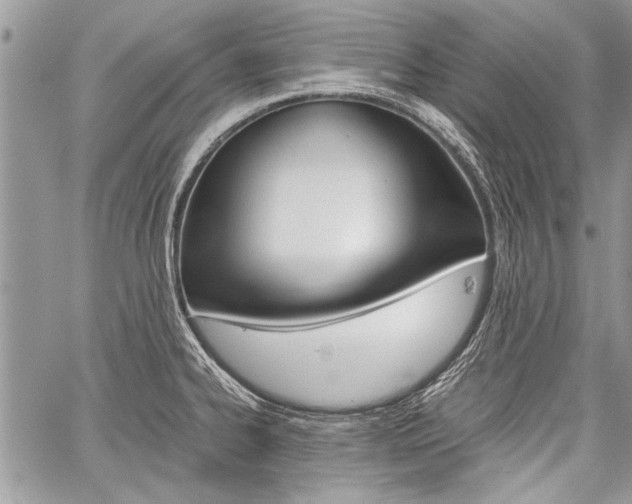 X0000059801334200510210847