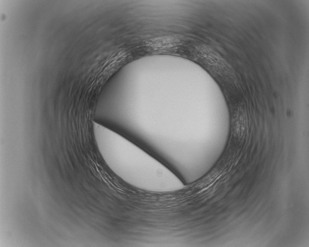 X0000059801346200510210846