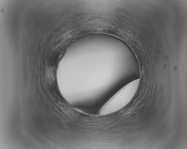 X0000059801347200510210846