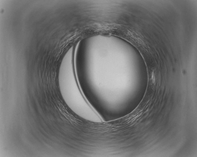 X0000059801348200510210846
