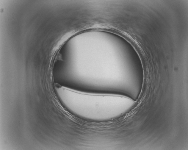 X0000059801367200510210846