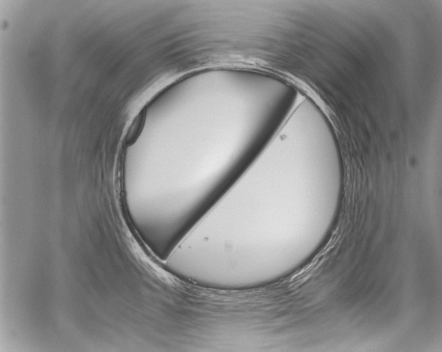X0000059801387200510210846