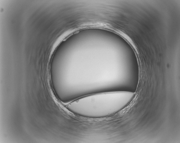 X0000059801389200510210846