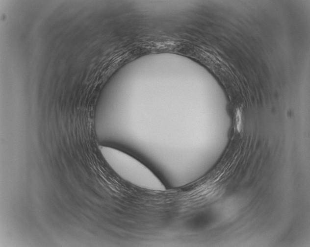 X0000059801395200510210845