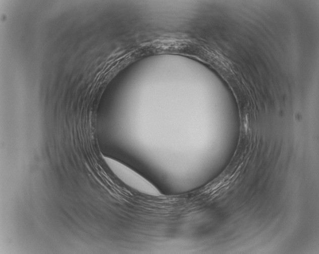 X0000059801396200510210845