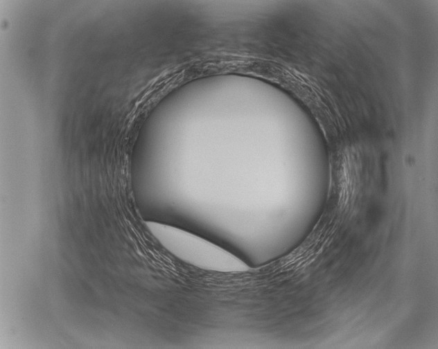 X0000059801397200510210845