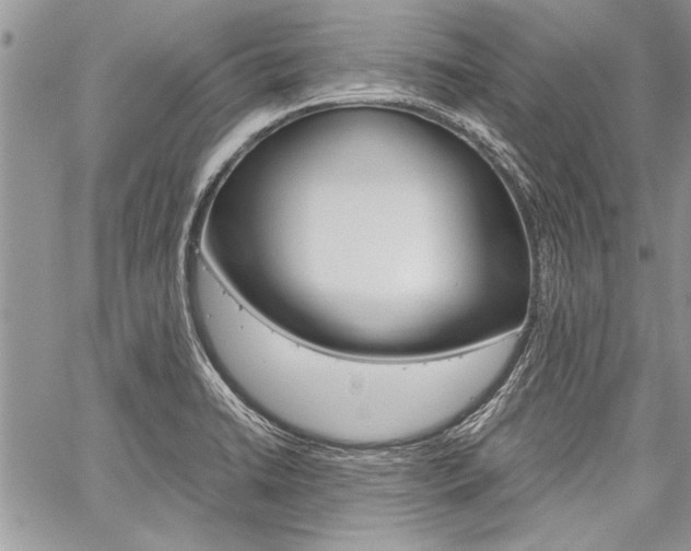X0000059801422200510210845