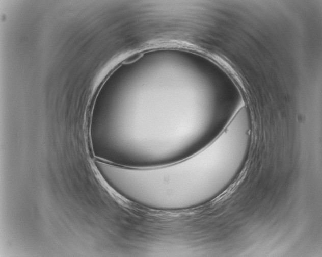 X0000059801438200510210846
