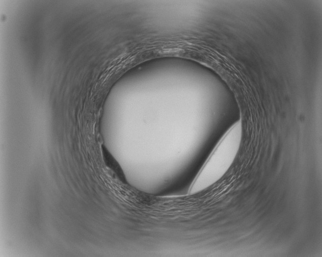 X0000059801441200510210845