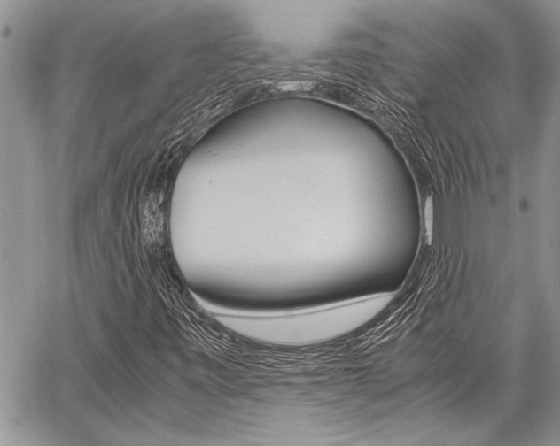X0000059801443200510210845