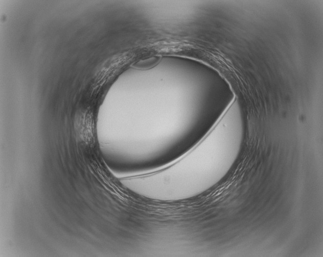 X0000059801444200510210845