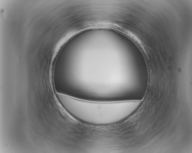 X0000059801480200510210844