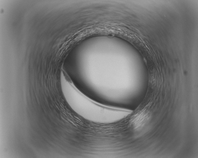 X0000059801490200510210843