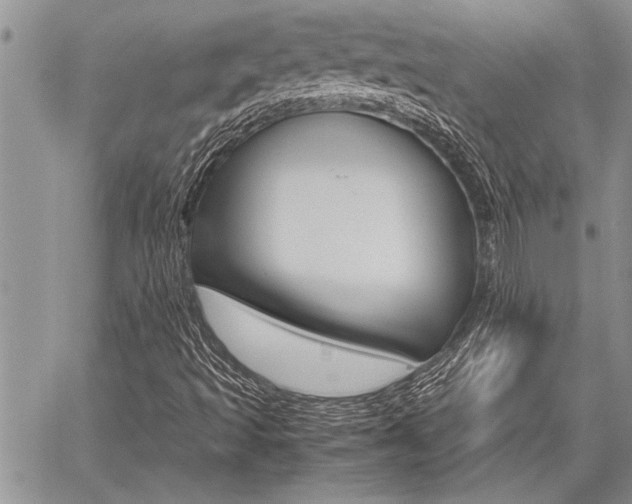 X0000059801493200510210843