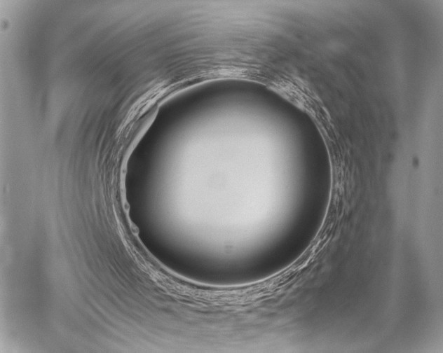 X0000059800001200510211103