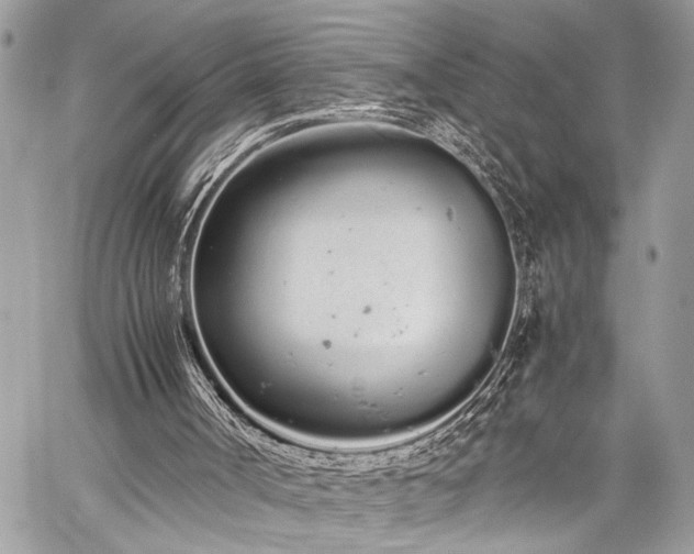 X0000059800002200510211103