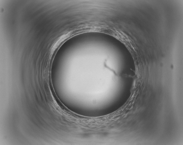 X0000059800003200510211103