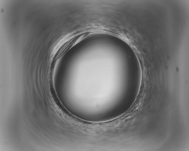 X0000059800007200510211103