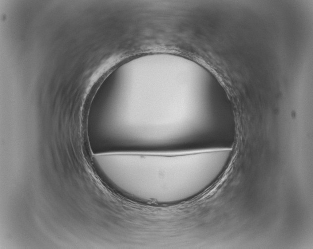 X0000059800008200510211103