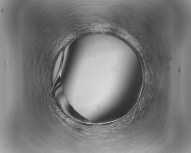 X0000059800009200510211103