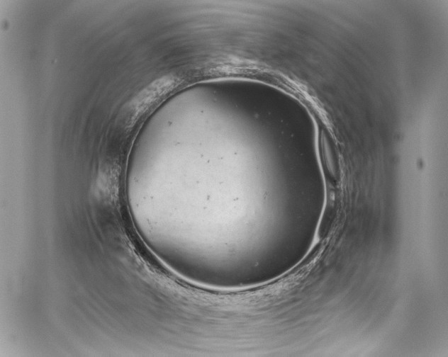 X0000059800010200510211103