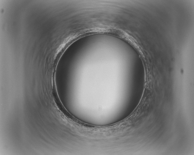 X0000059800011200510211103