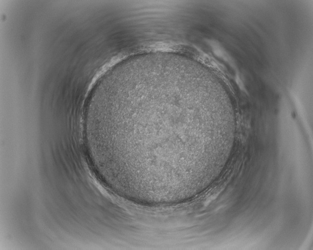 X0000059800012200510211103