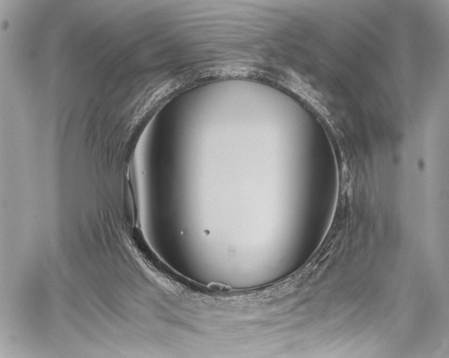 X0000059800013200510211103