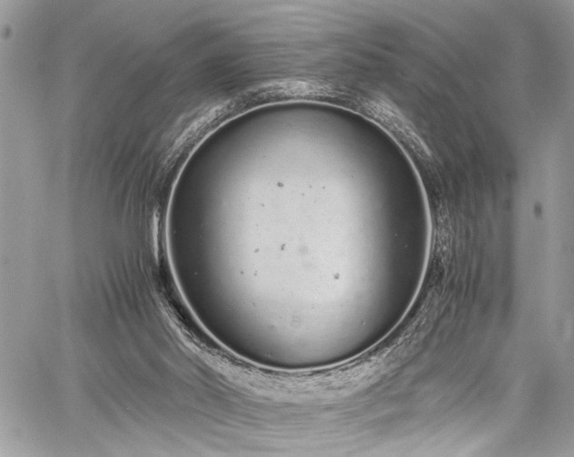 X0000059800014200510211103