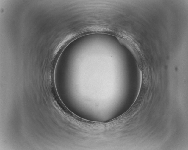 X0000059800015200510211103