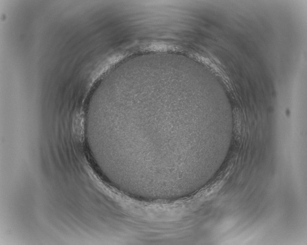 X0000059800016200510211103