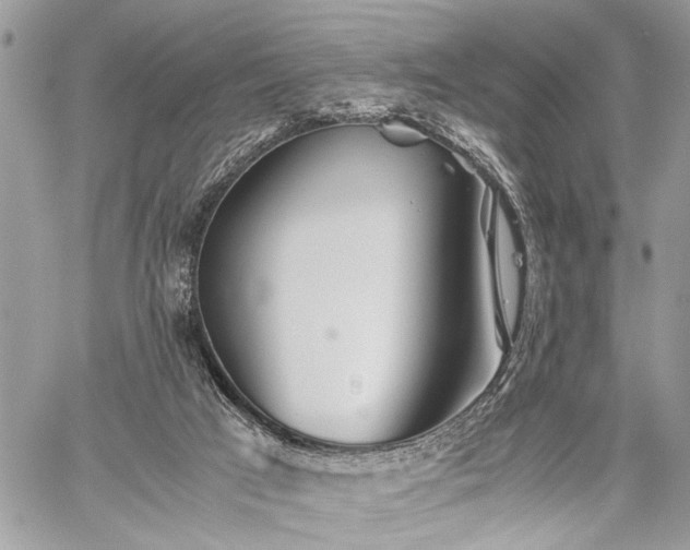 X0000059800017200510211103