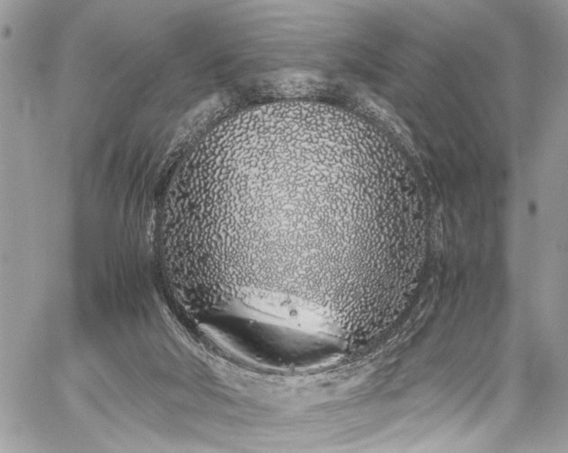 X0000059800018200510211103